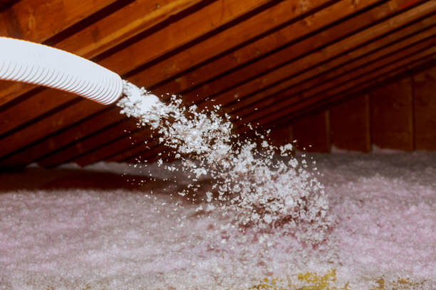 Best Residential Insulation in Universal City, TX