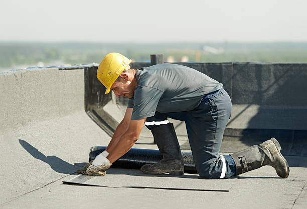 Best Insulation Maintenance and Repair in Universal City, TX